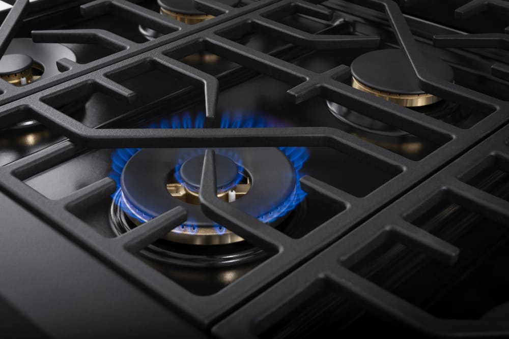 Forza 48 Inch Freestanding Professional Gas Range with 8 Sealed Brass Burners